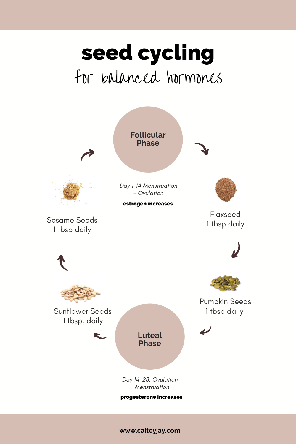 The Ultimate Guide To Seed Cycling For Hormone Balance - Caitey Jay