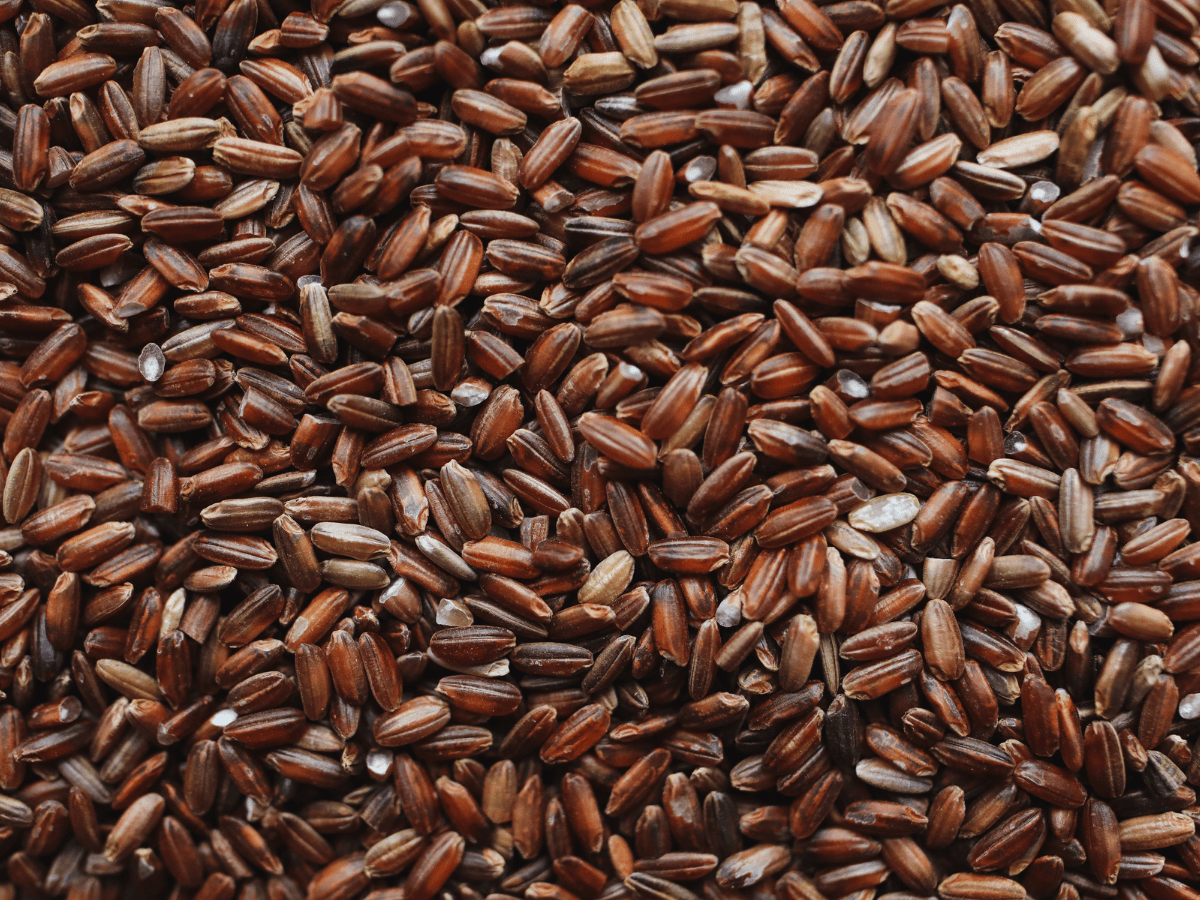 Up close shot of uncooked brown rice.