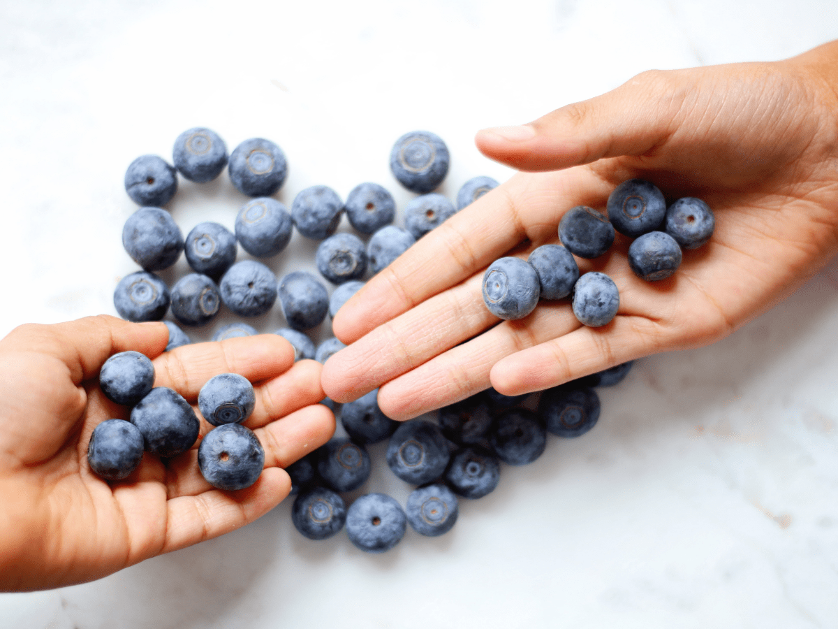 Hands holding blueberries.