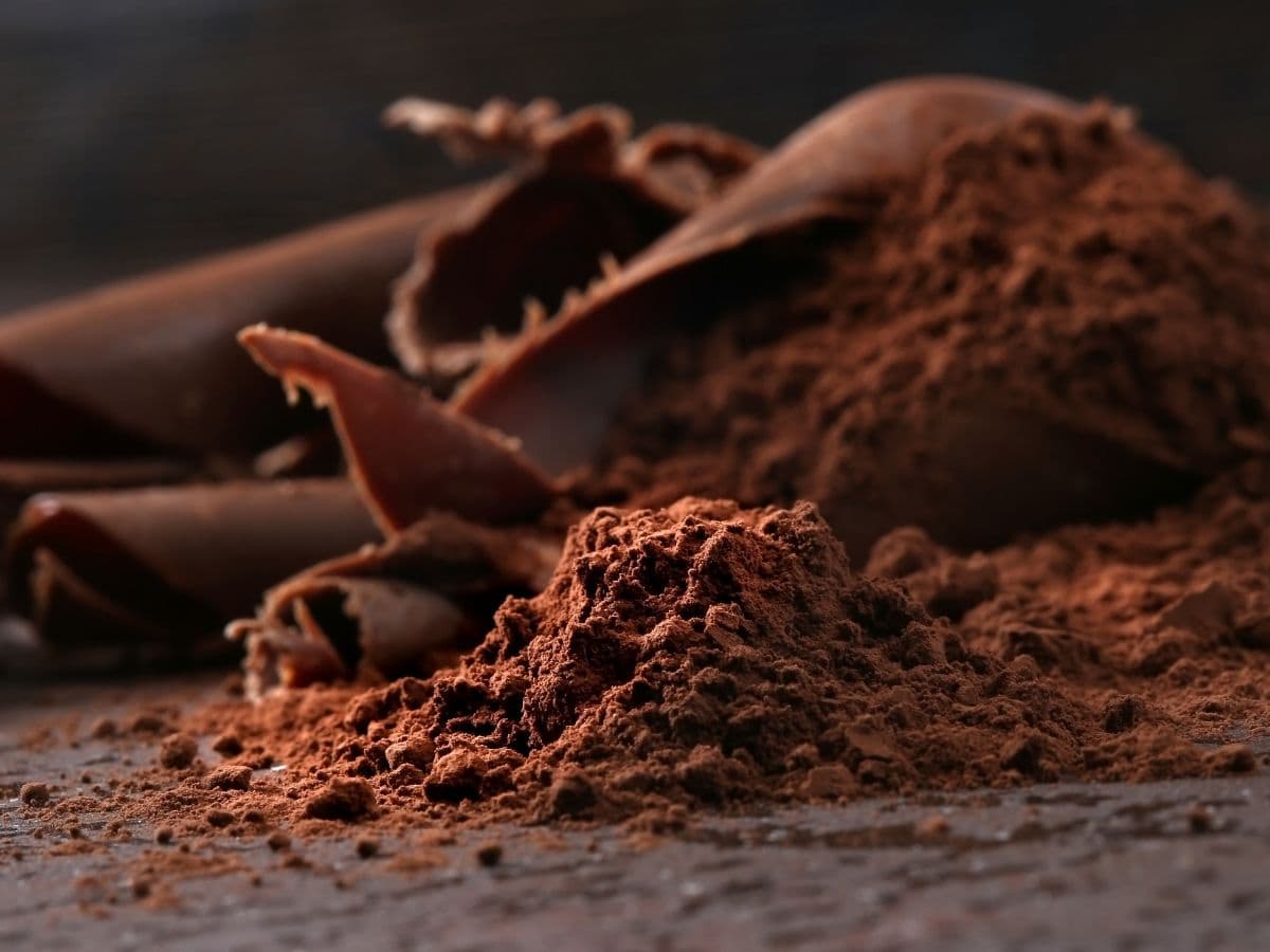 A heap of cocoa powder on a dark grey countertop with chocolate shavings nearby. Shot up close.