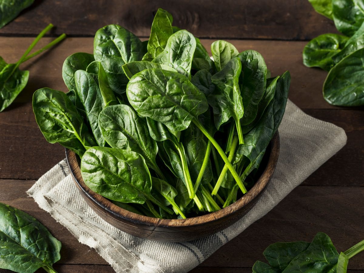 A wooden bowl filled with fresh spinach leaves.
